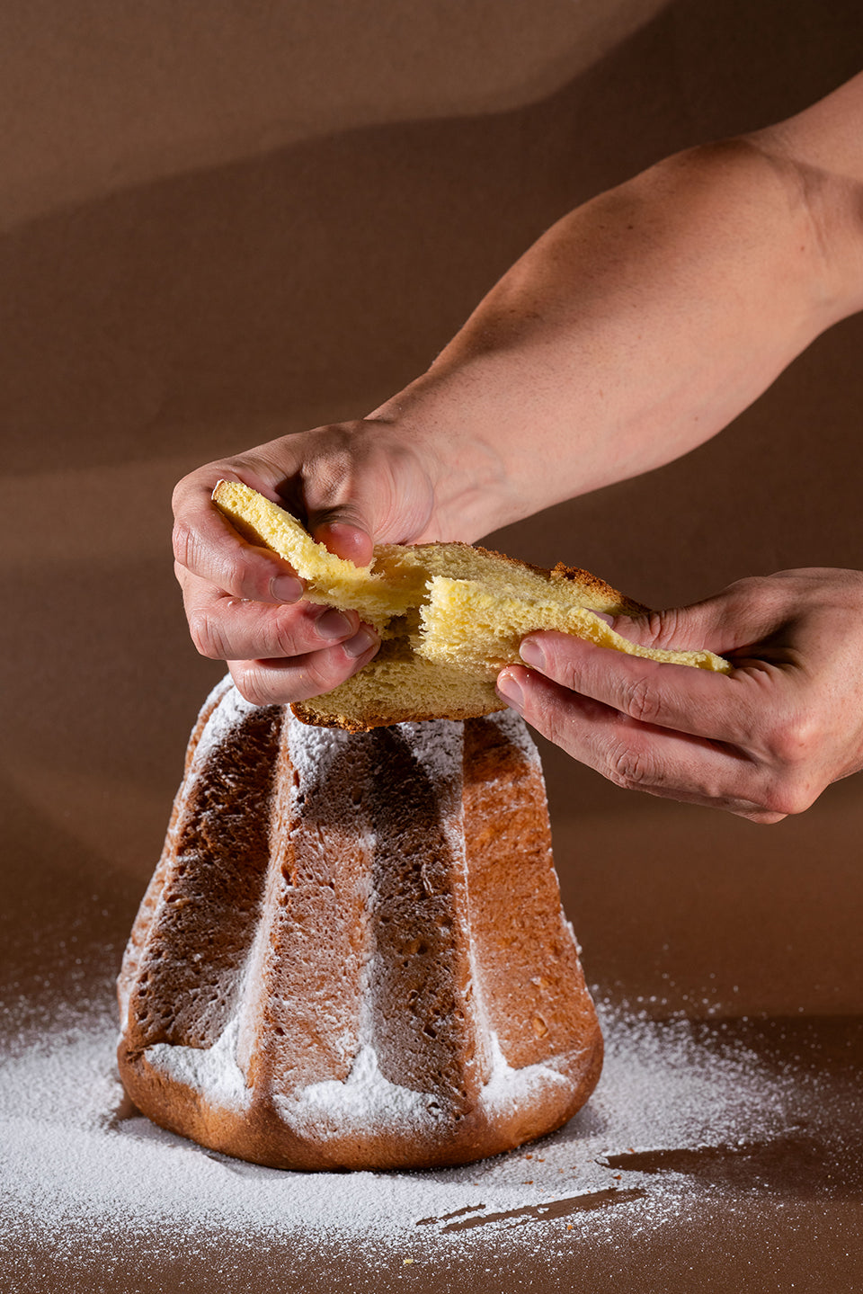 Pandoro Artigianale